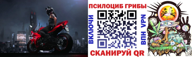гидра как зайти  продажа наркотиков  Подольск  Галлюциногенные грибы Psilocybe 