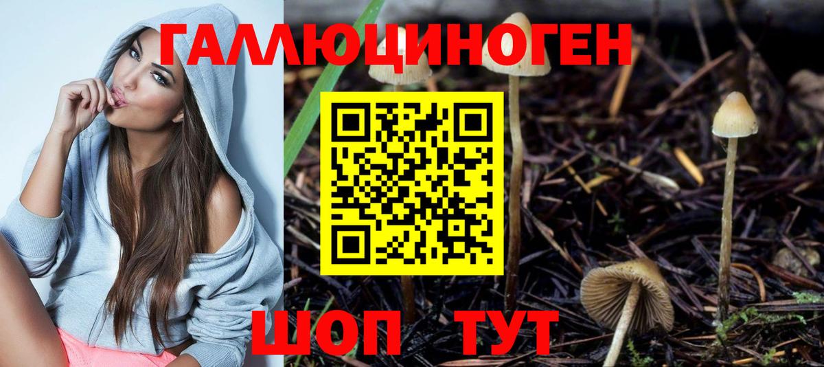 Псилоцибиновые грибы мицелий Подольск