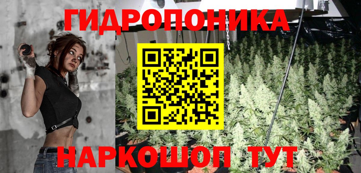 Бошки Шишки Amnesia Подольск